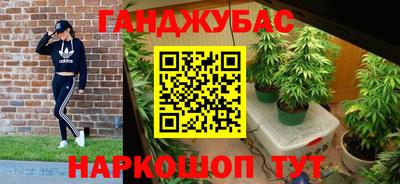 сатива Ставрополь