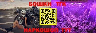 сатива Ставрополь