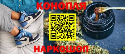 сатива Ставрополь