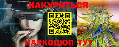 сатива Ставрополь