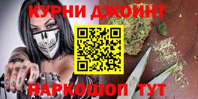 сатива Ставрополь