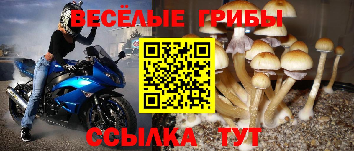 Псилоцибиновые грибы Cubensis  Псилоцибиновые грибы Magic Shrooms  Новошахтинск  Вход с VPN 