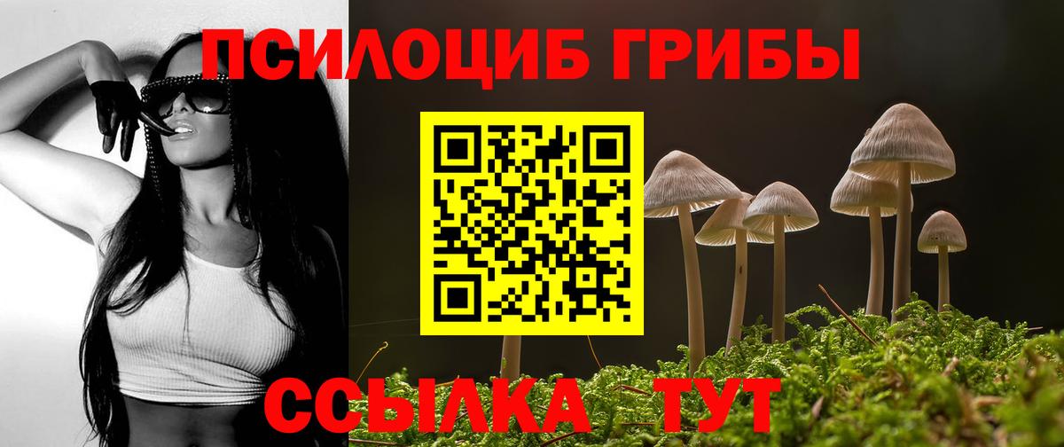 Псилоцибиновые грибы Magic Shrooms Новошахтинск
